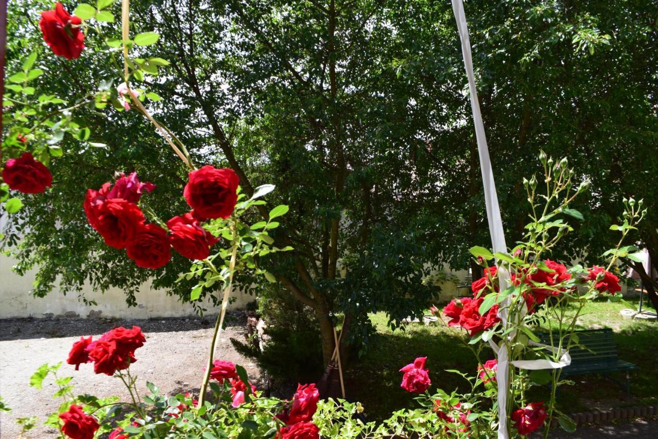 Pension Greenhouse Sibiu Extérieur photo