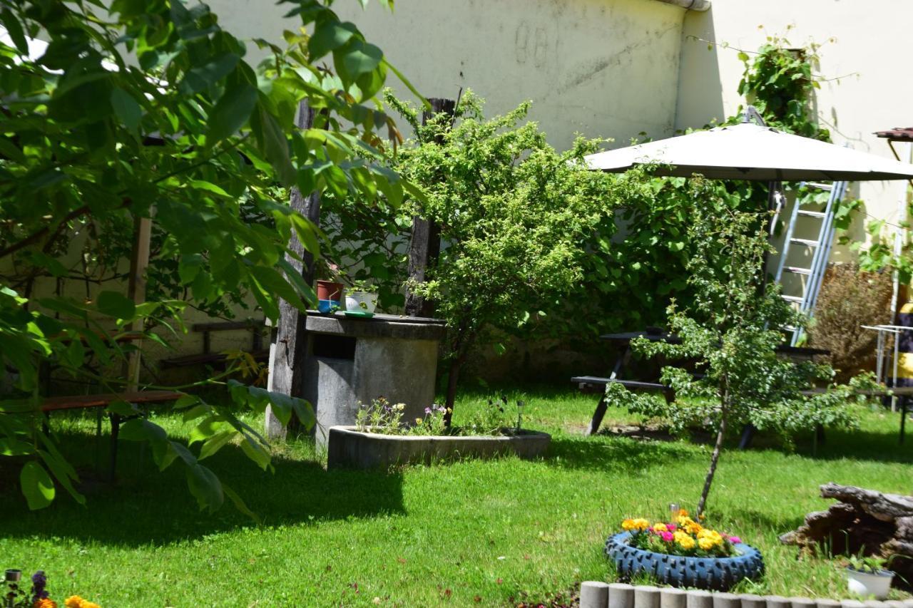 Pension Greenhouse Sibiu Extérieur photo