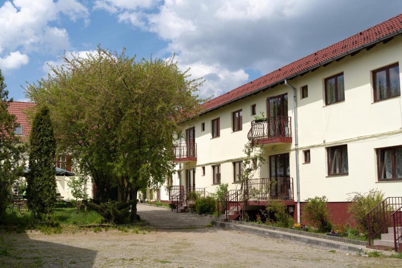Pension Greenhouse Sibiu Extérieur photo