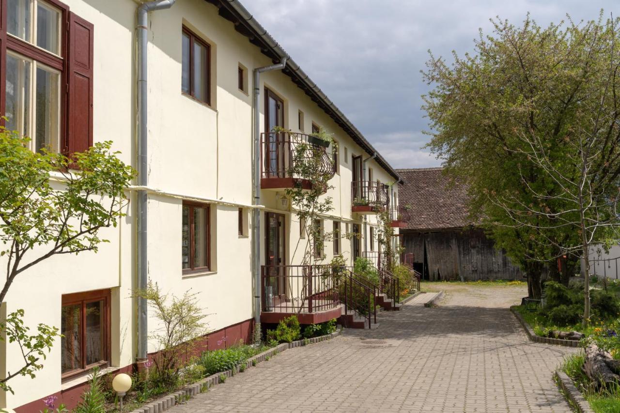 Pension Greenhouse Sibiu Extérieur photo